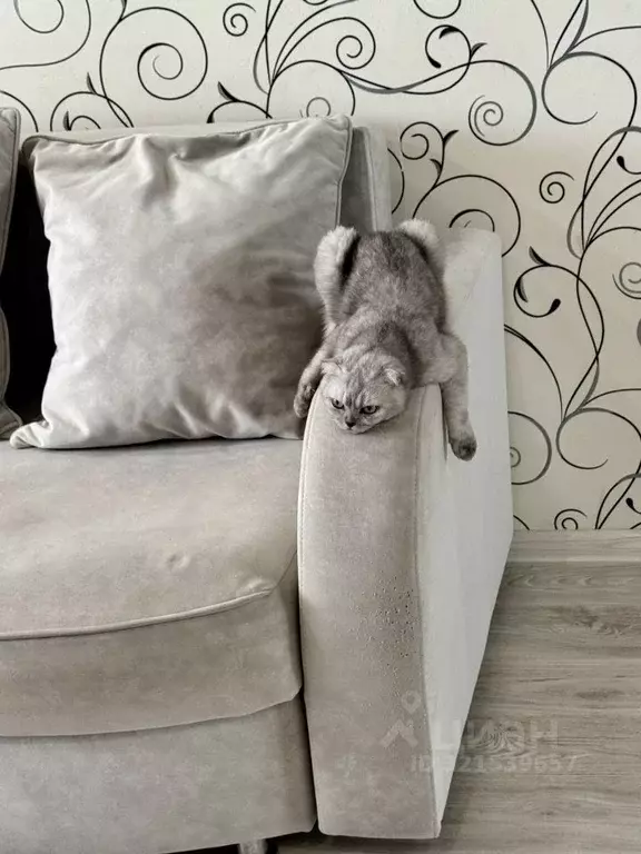 2-к кв. Ростовская область, Ростов-на-Дону Извилистая ул. (46.0 м) - Фото 2