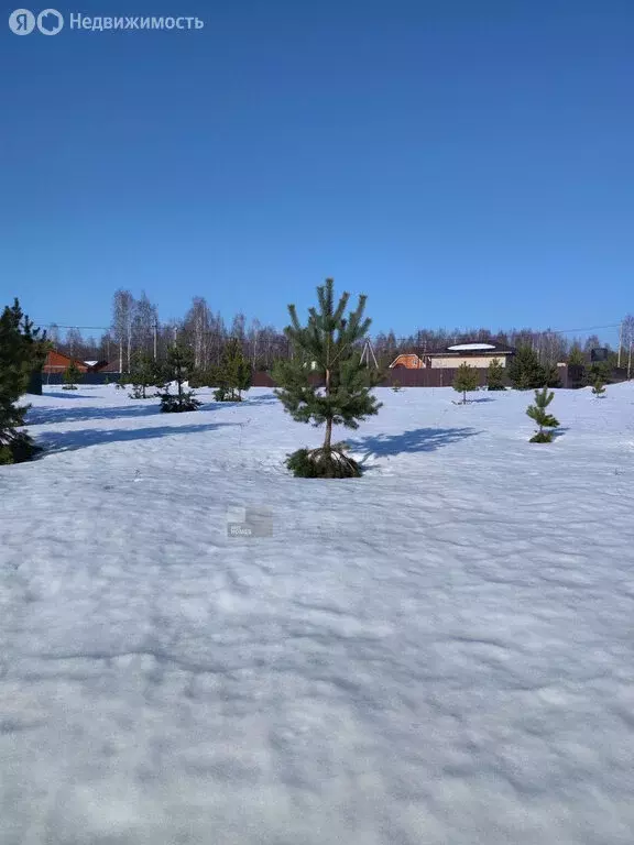Участок в Московская область, Раменский муниципальный округ, ДНТ ... - Фото 1