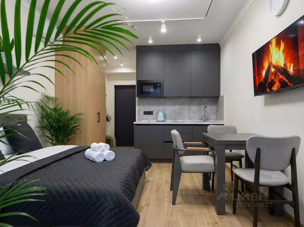 Студия Санкт-Петербург Ординарная ул., 20 (19.0 м) - Фото 2