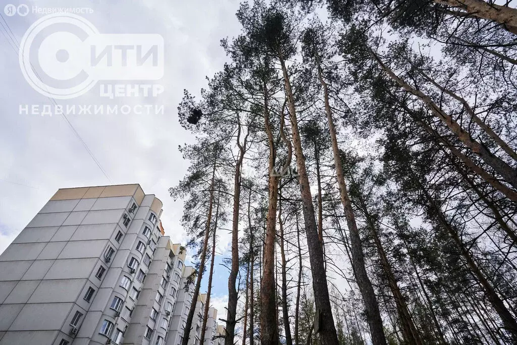 1-комнатная квартира: Воронеж, улица 9 Января, 241/5 (38.6 м) - Фото 1