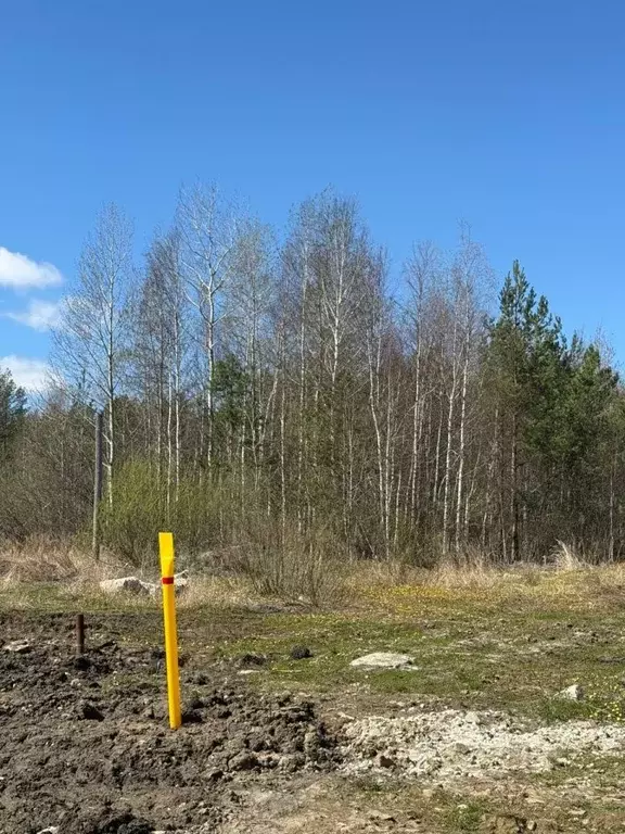 Участок в Свердловская область, Екатеринбург муниципальное ... - Фото 0