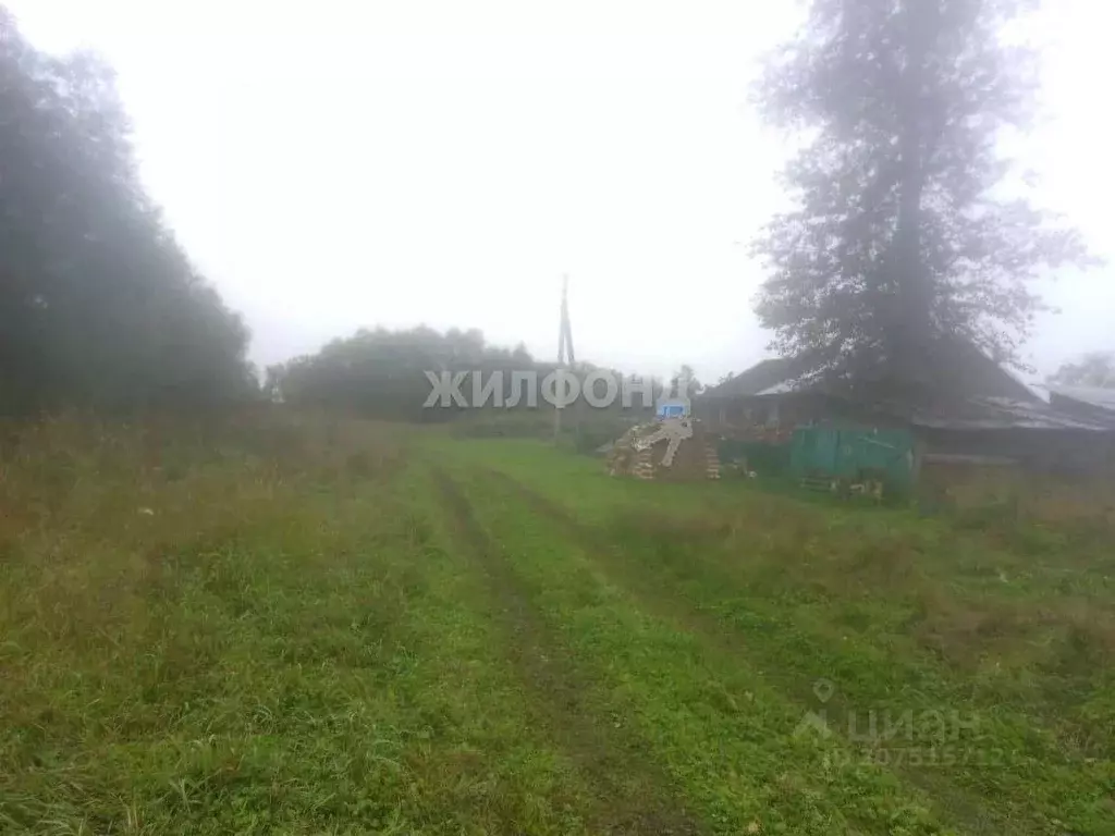 Дом в Новосибирская область, Колыванский район, пос. Боярка Береговая ... - Фото 1