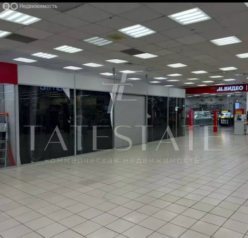 Торговая площадь (33 м) - Фото 2