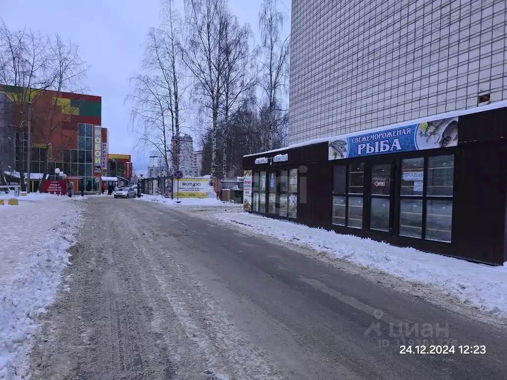 Торговая площадь в Коми, Сыктывкар ул. Куратова, 83 (28 м) - Фото 1