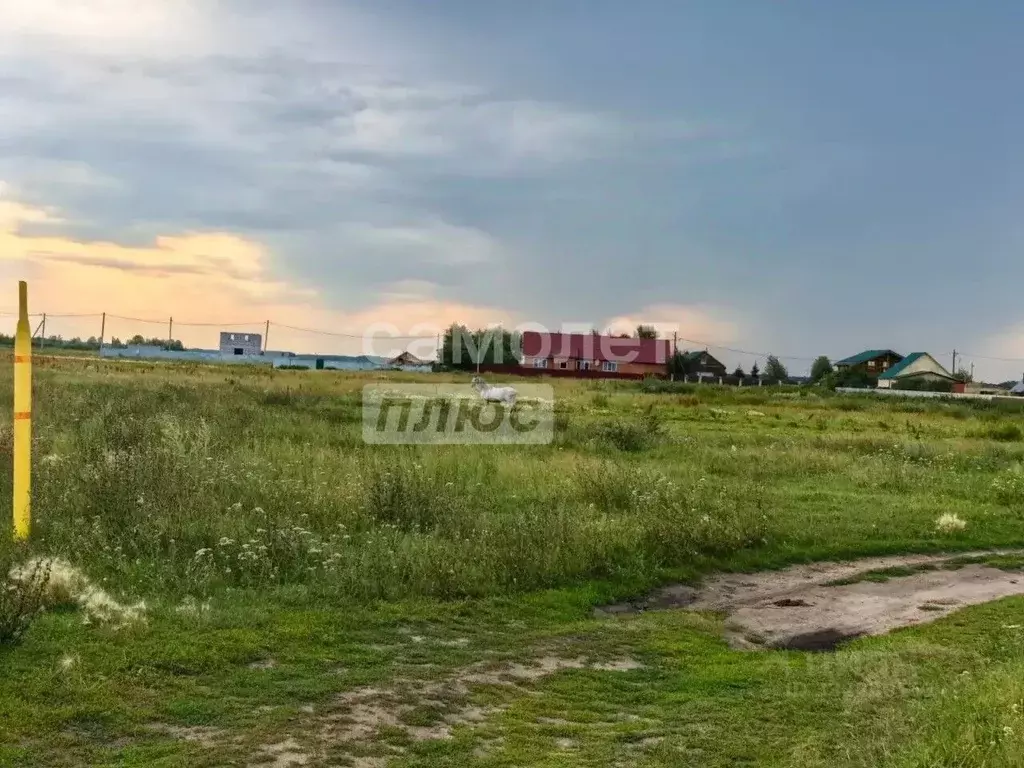 Участок в Омская область, Омский район муниципальный округ, пос. ... - Фото 2