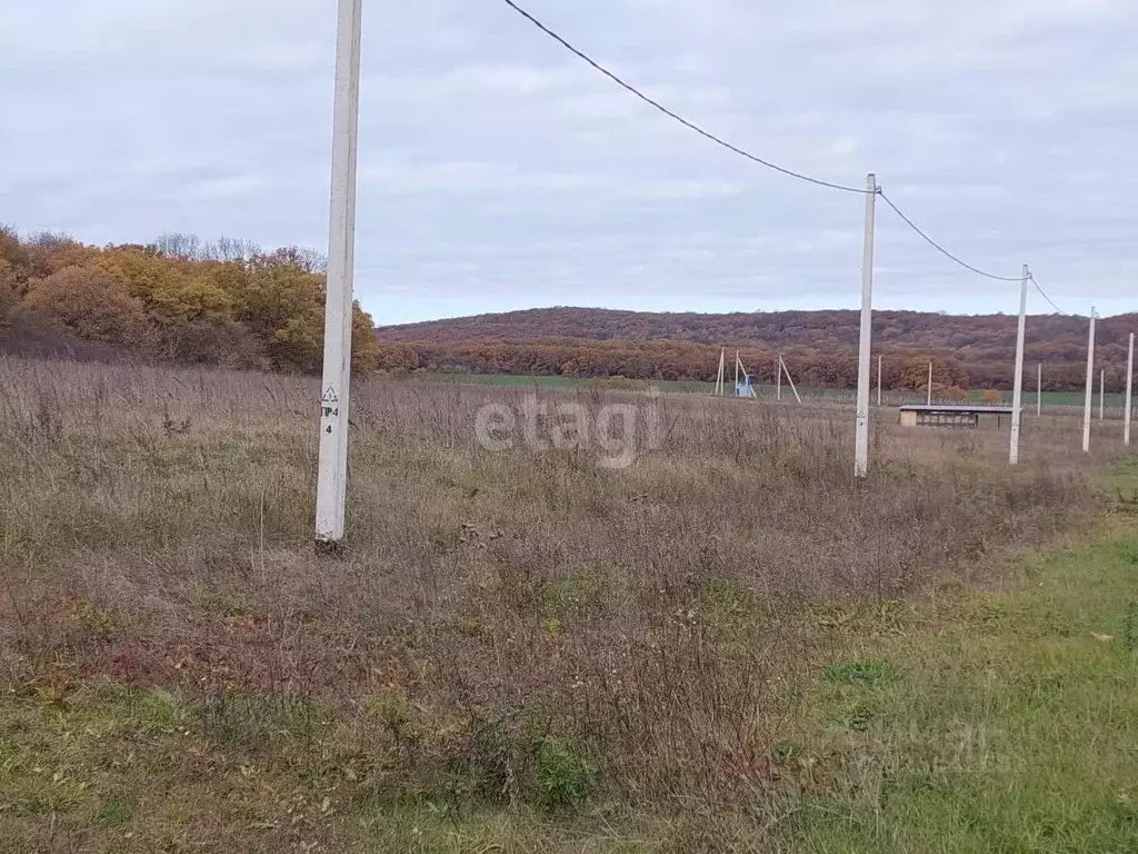 Участок в Краснодарский край, Новороссийск городской округ, ... - Фото 1