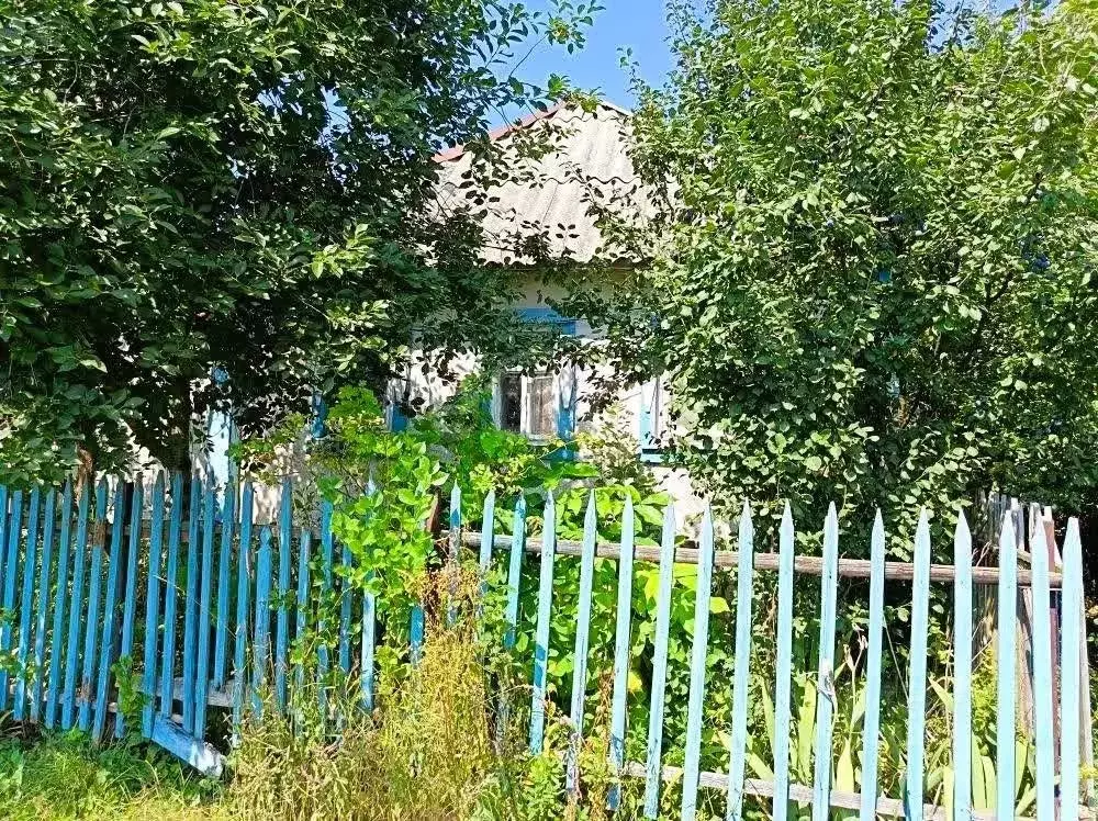 Дом в Белгородская область, Новооскольский муниципальный округ, с. ... - Фото 2