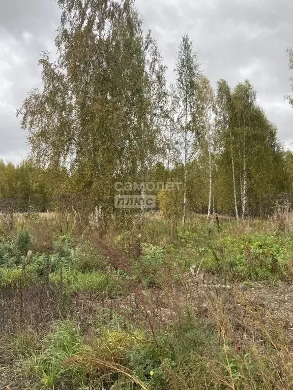 Участок в Нижегородская область, Чкаловск муниципальный округ, д. ... - Фото 2