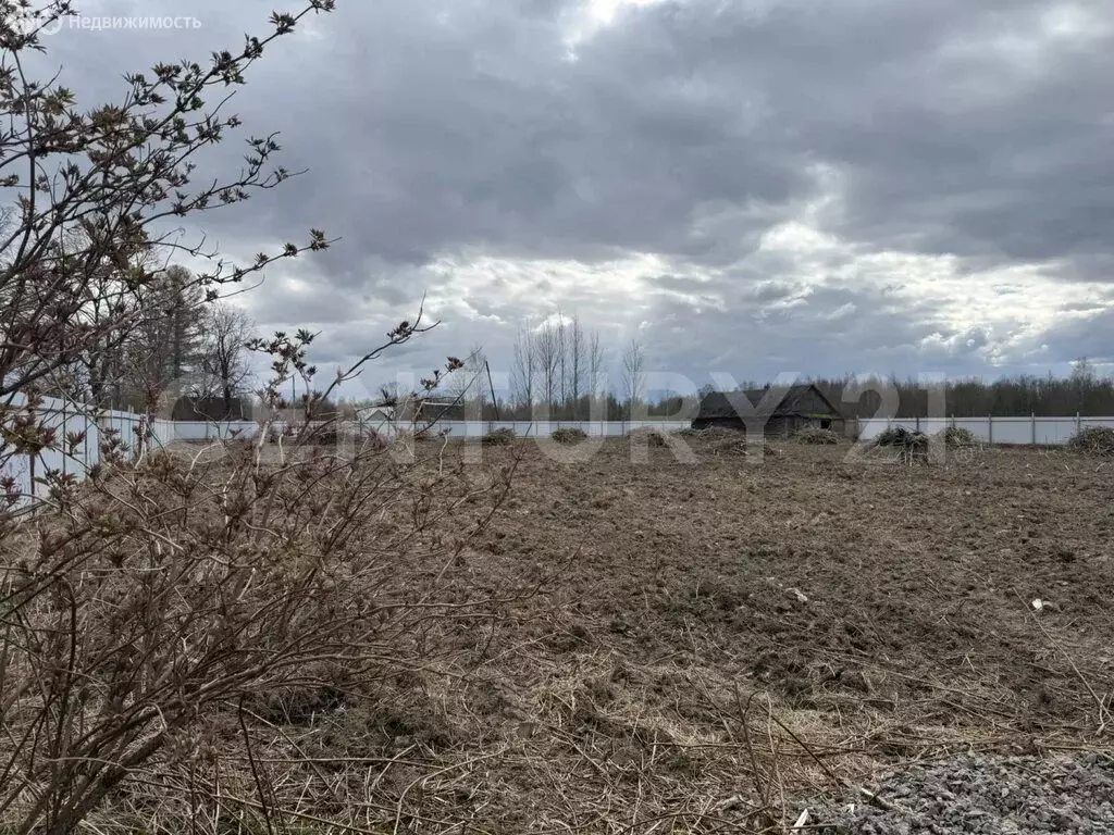 Участок в Любанское городское поселение, деревня Попрудка (56 м) - Фото 1