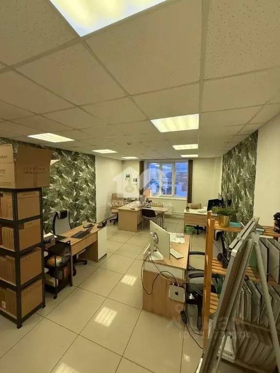 Офис в Новосибирская область, Новосибирск Советская ул., 64/1 (60 м) - Фото 1