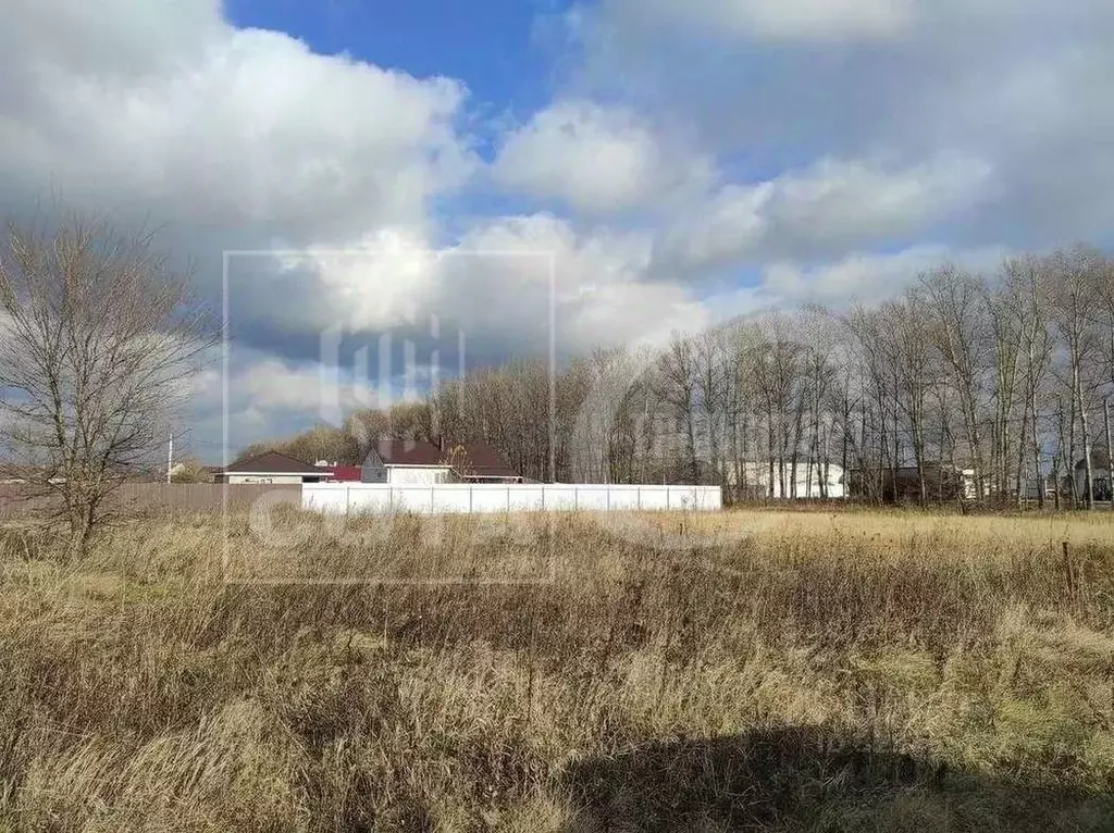 Участок в Воронежская область, с. Новая Усмань ул. Ростовская, 127 ... - Фото 2