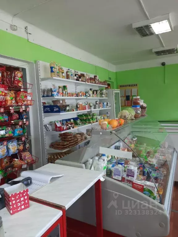 Помещение свободного назначения в Калужская область, Думиничский ... - Фото 1