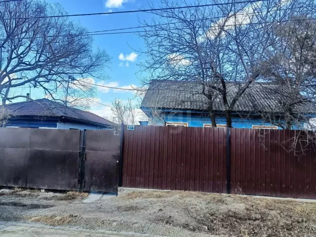 Участок в Амурская область, Благовещенский район, с. ... - Фото 1