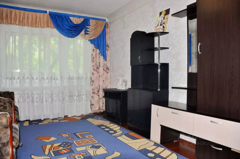 1-к кв. Амурская область, Благовещенск ул. Ленина, 62 (30.4 м) - Фото 1