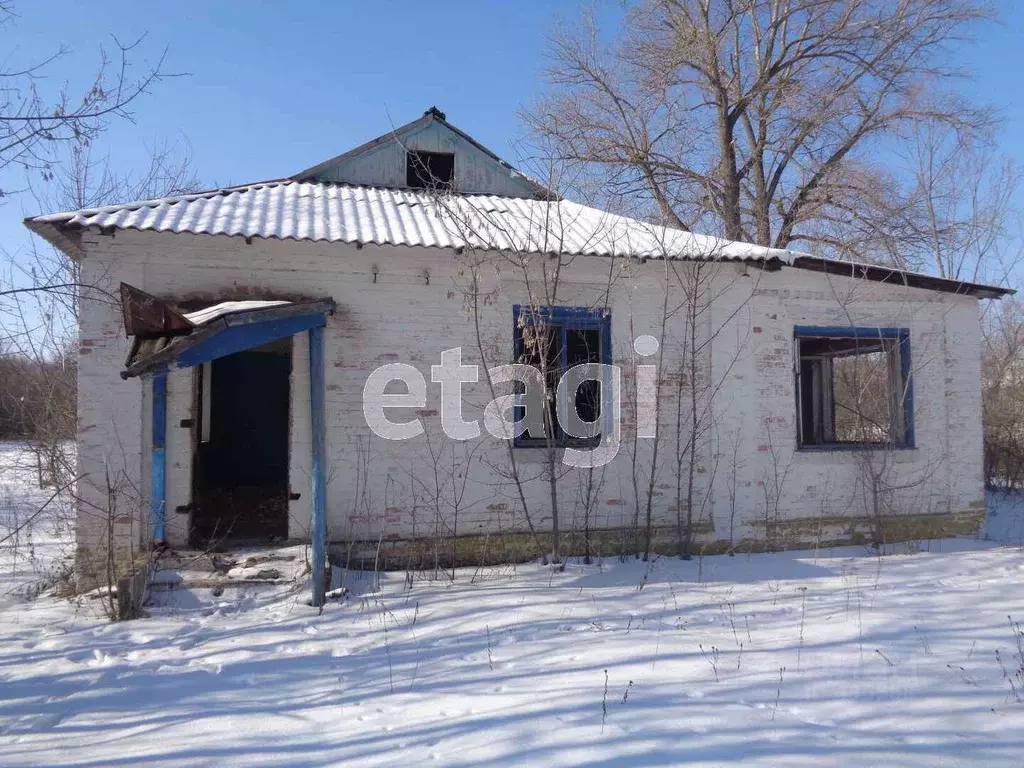 Дом в Белгородская область, Волоконовский район, Староивановское ... - Фото 0