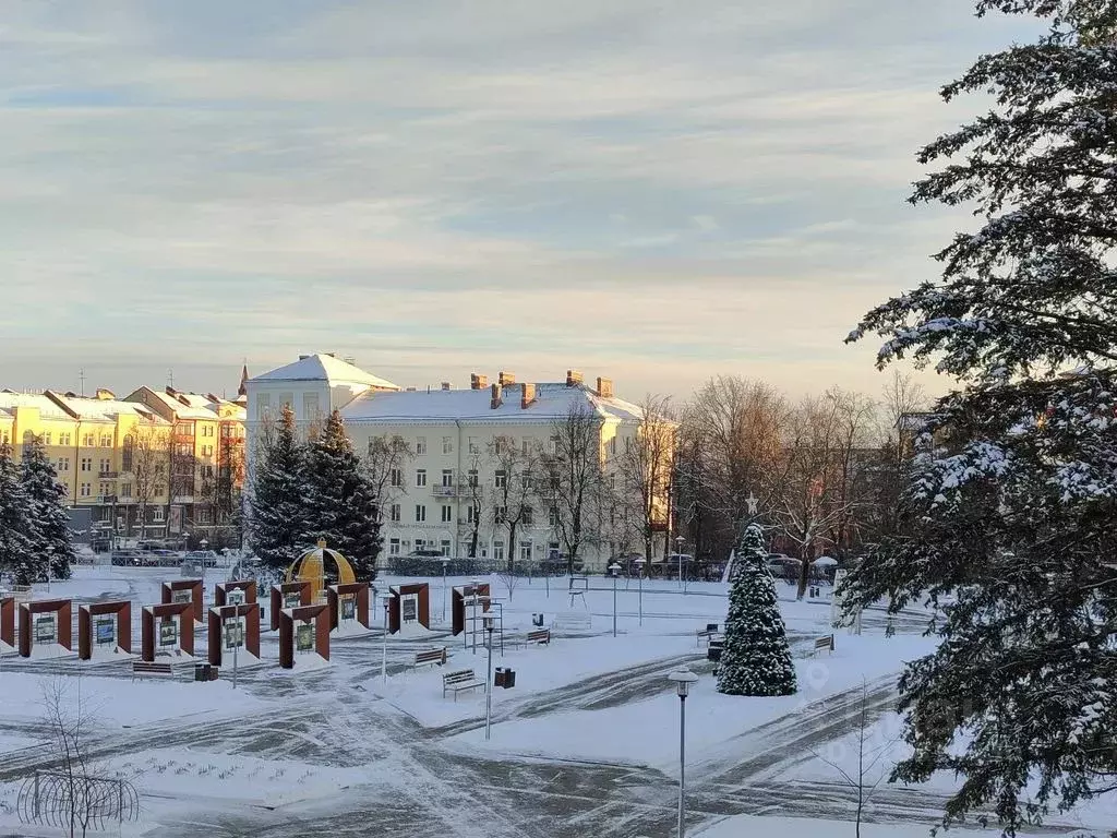 1-к кв. Псковская область, Псков ул. Максима Горького, 35 (32.0 м) - Фото 2