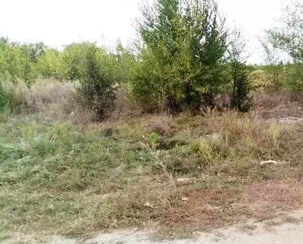 Участок в Каменск-Шахтинский, улица Газовиков (6 м) - Фото 1