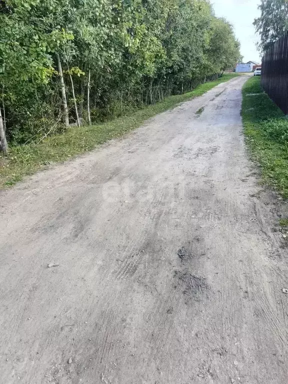 Участок в Коми, Сыктывдинский район, с. Выльгорт ул. Родниковая (3.93 ... - Фото 1