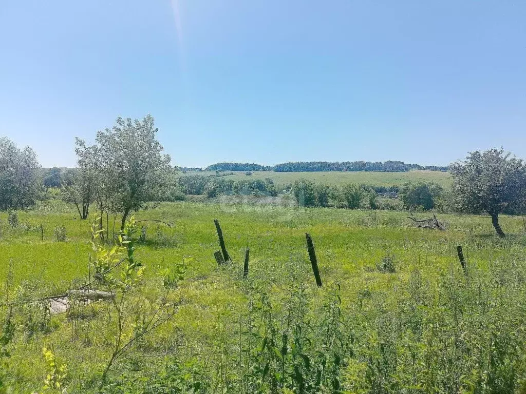 Участок в Белгородская область, Валуйский городской округ, с. Борисово ... - Фото 1