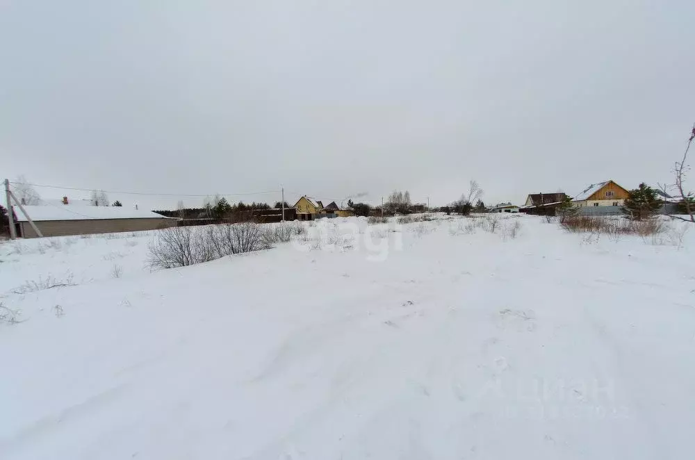 Участок в Курганская область, Шадринский муниципальный округ, с. ... - Фото 1