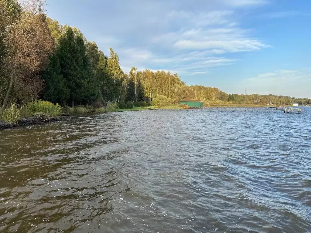 Участок в Московская область, Мытищи городской округ, д. Большое ... - Фото 0