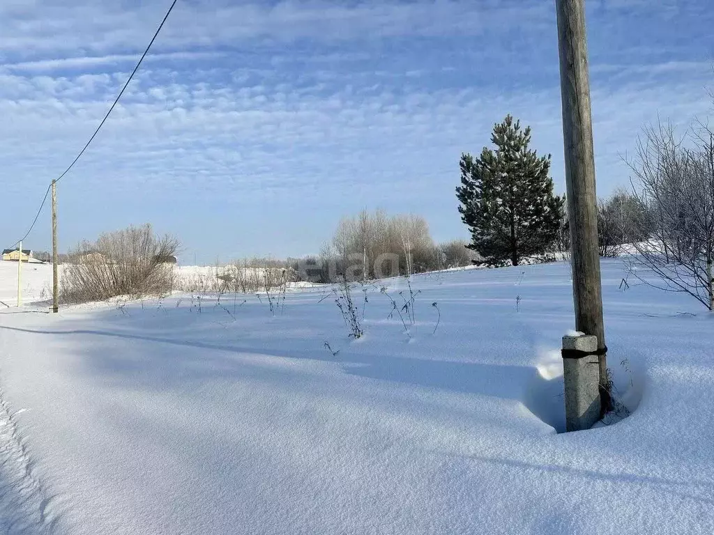 Участок в Томская область, Томский район, с. Корнилово, Зеленая ... - Фото 1