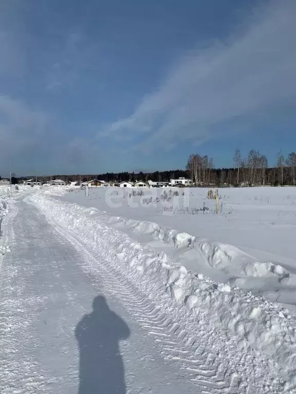Участок в Свердловская область, Белоярский муниципальный округ, пос. ... - Фото 0