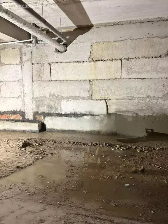 Помещение свободного назначения (256 м) - Фото 1