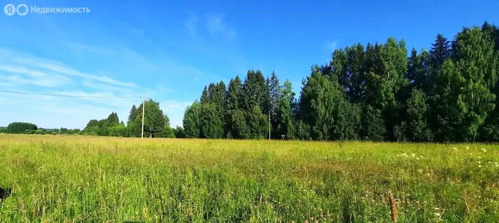 Участок в Пермский муниципальный округ, деревня Пашня (15 м) - Фото 1