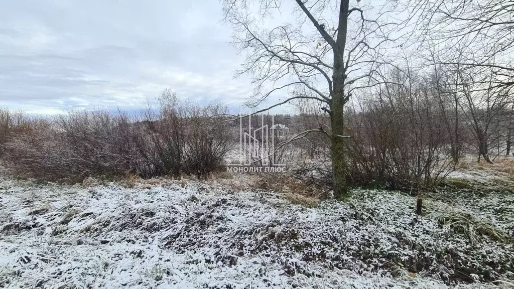 Участок в Ленинградская область, Ломоносовский район, Горбунковское ... - Фото 1