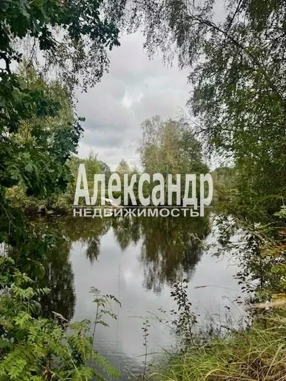 Участок в Ленинградская область, Выборгский район, Селезневское с/пос, ... - Фото 1