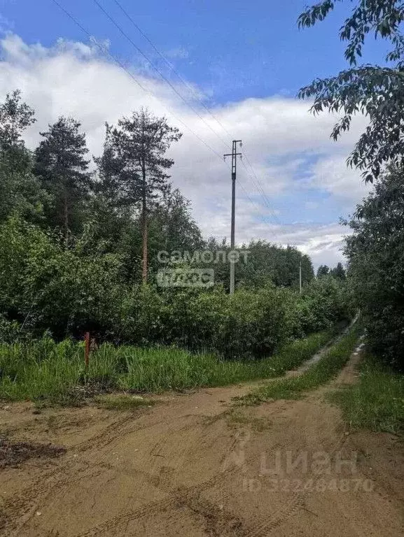 Участок в Вологодская область, Сокольский муниципальный округ, ... - Фото 2