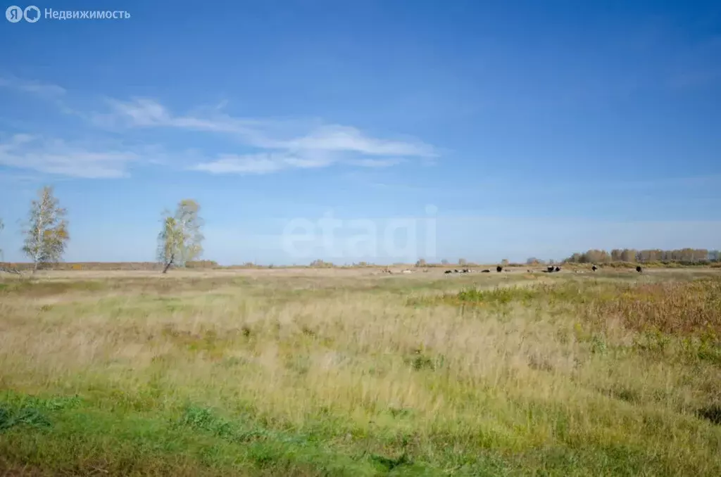 Участок в Тюменский район, Ялуторовский тракт (10669.02 м) - Фото 1
