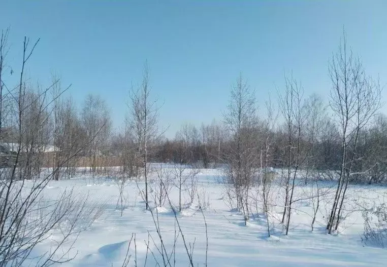 Участок в Московская область, Дмитровский муниципальный округ, д. ... - Фото 1