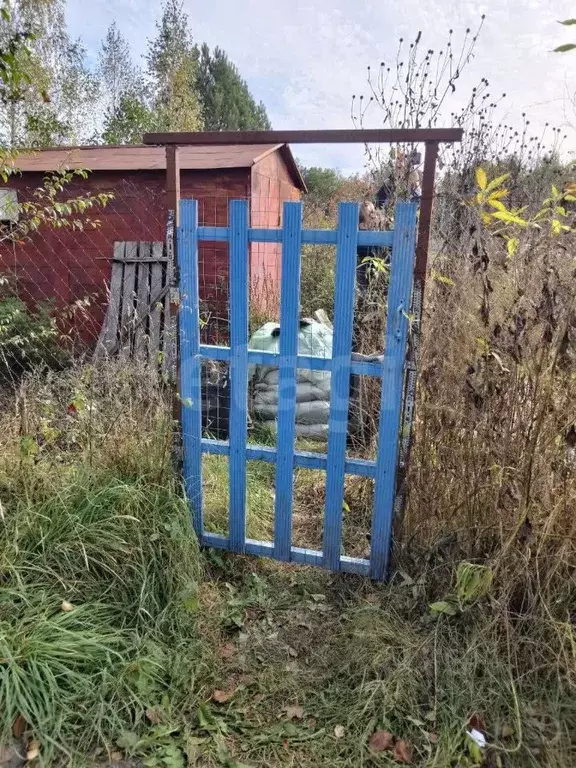 Участок в Брянская область, Брянский район, Нетьинское с/пос, ... - Фото 1