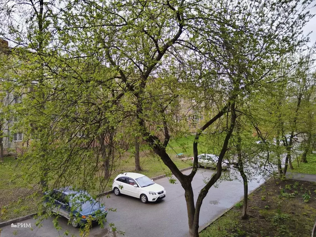 1-комнатная квартира: Череповец, Московский проспект, 56 (30.6 м) - Фото 0
