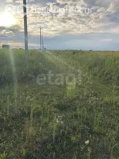 Участок в Брянский район, посёлок Мичуринский (30 м) - Фото 2