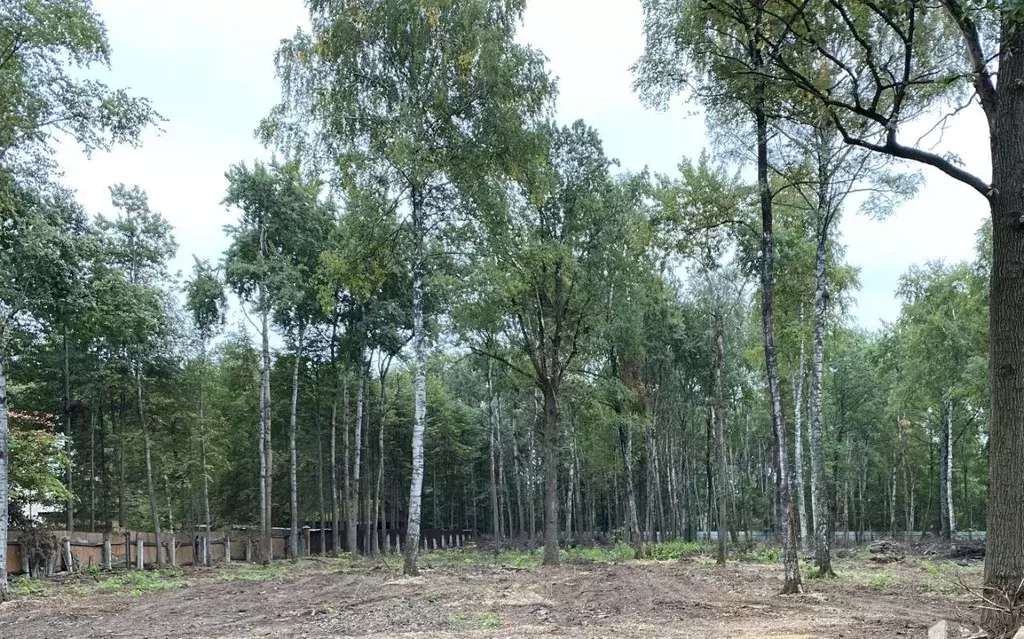 Участок, 7.5 сот., поселения (ижс) - Фото 1