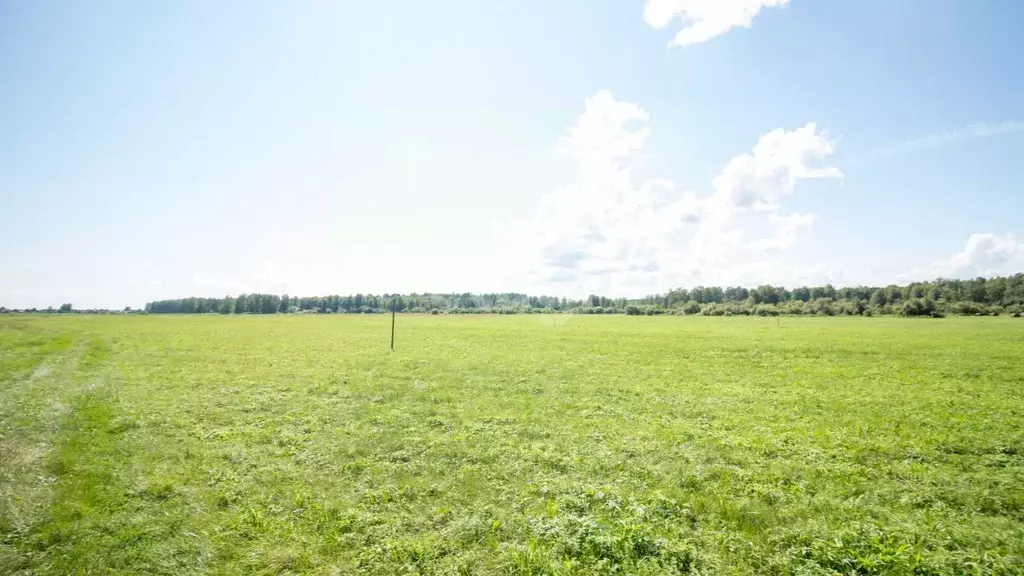 Участок в Томская область, Томский район, Журавли кп  (10.4 сот.) - Фото 1