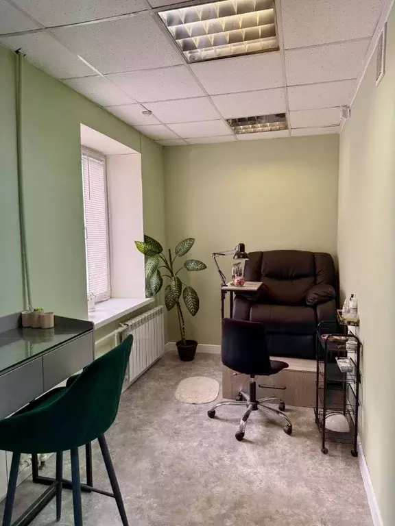 Помещение свободного назначения в Алтайский край, Барнаул ул. ... - Фото 2