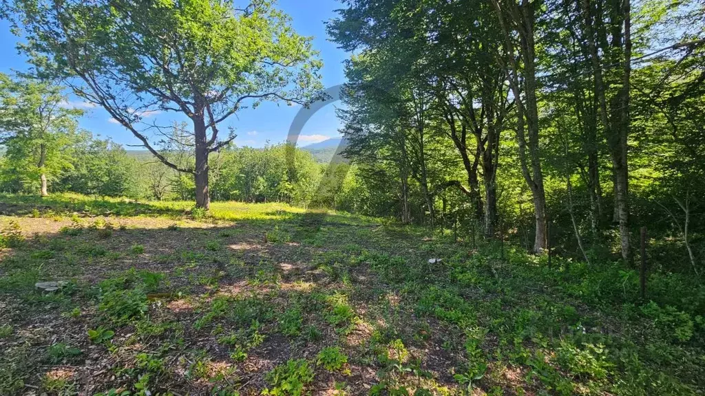 Участок в Краснодарский край, Апшеронский район, пос. Мезмай Высокая ... - Фото 2