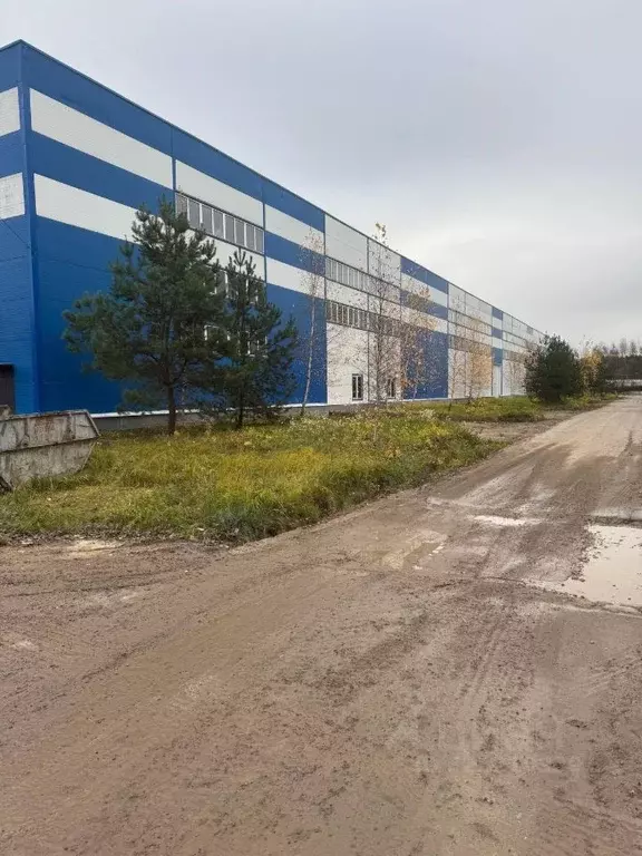 Помещение свободного назначения в Московская область, Домодедово Белые ... - Фото 1