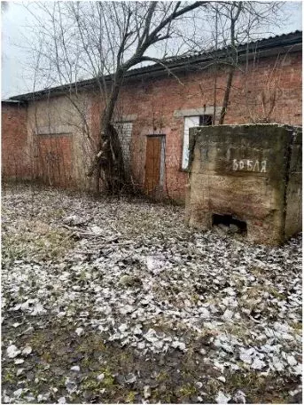 Помещение свободного назначения в Ярославская область, с. Большое ул. ... - Фото 1