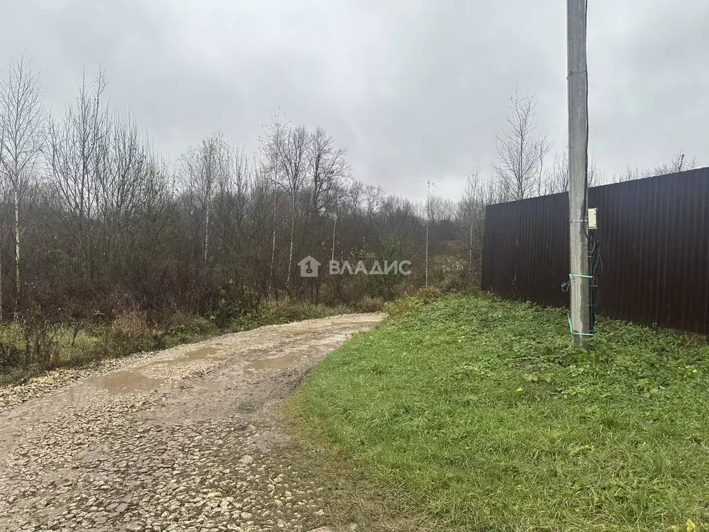 Участок в Владимирская область, Суздальский район, Новоалександровское ... - Фото 1