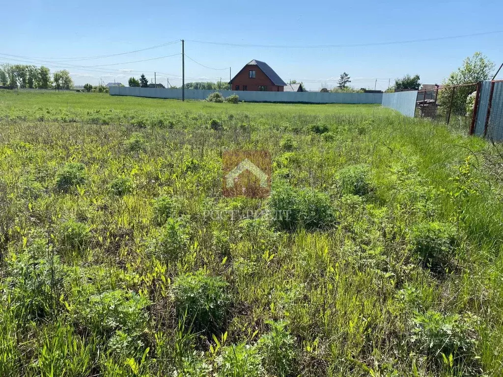 Участок в Саратовская область, Марксовский район, Приволжское ... - Фото 2