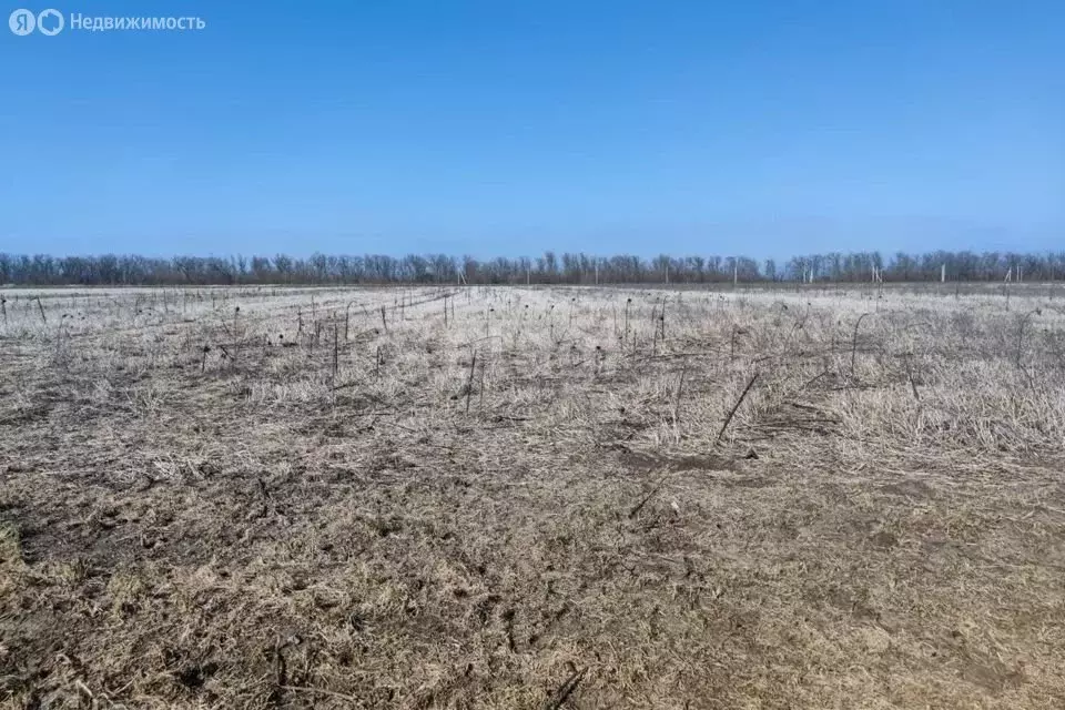 Участок в Ростовская область, Багаевское сельское поселение (6 м) - Фото 0