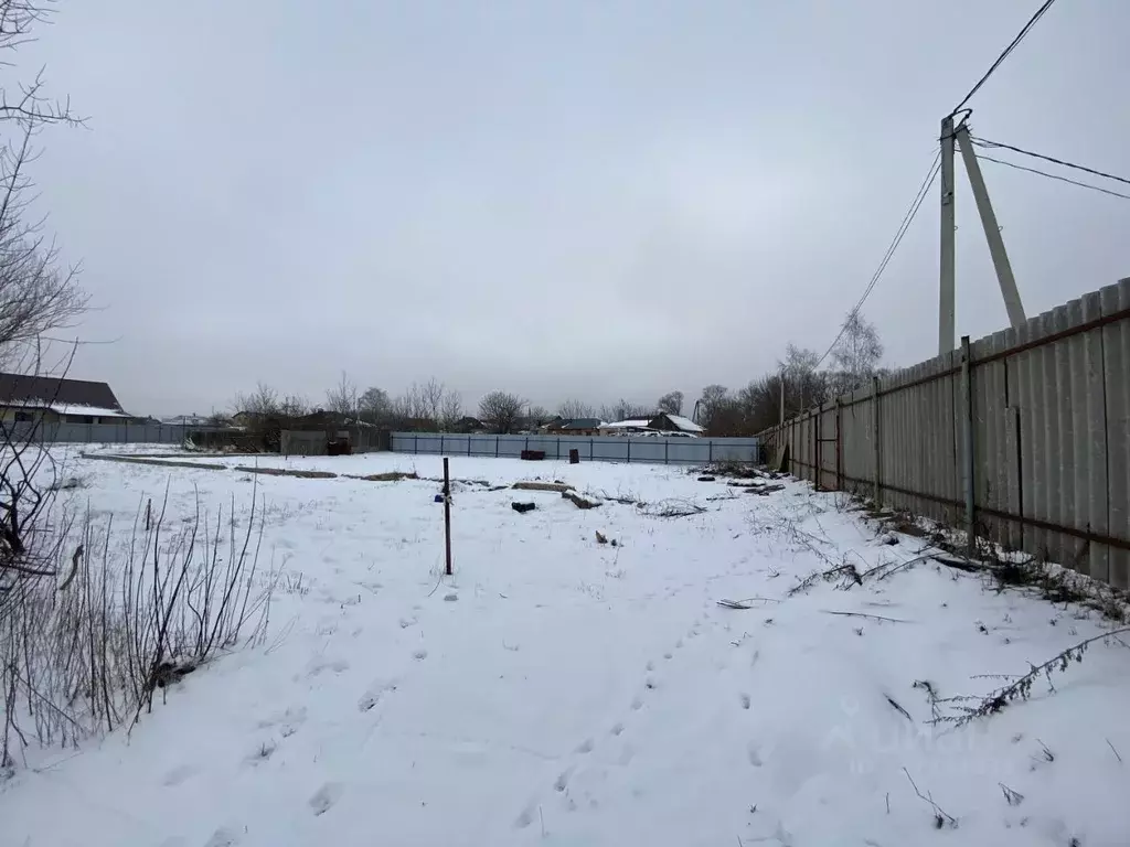 Участок в Воронежская область, Новоусманский район, с. Бабяково  (8.0 ... - Фото 2