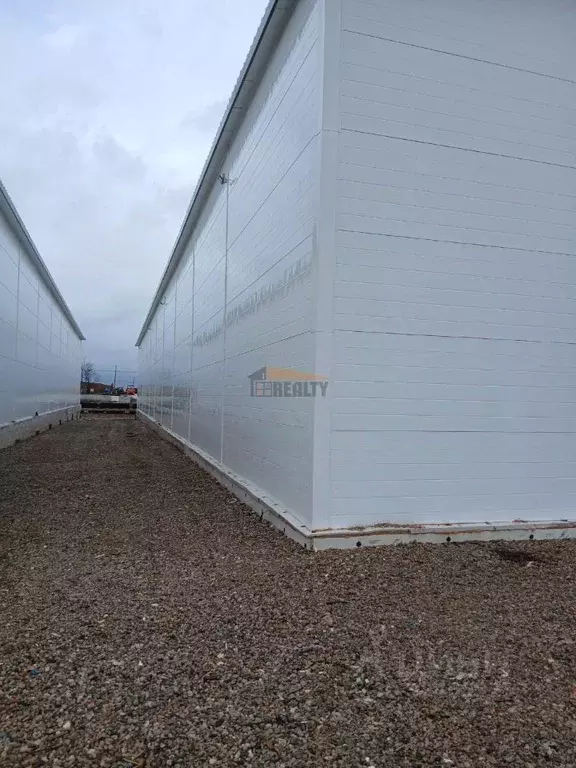 Склад в Московская область, Домодедово городской округ, д. Кучино ул. ... - Фото 2