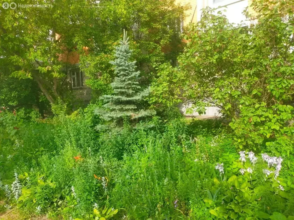 2-комнатная квартира: Москва, Новороссийская улица, 30к1 (60.3 м) - Фото 1