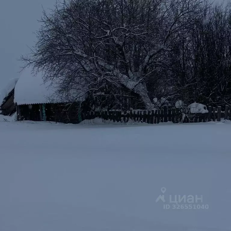 Участок в Пермский край, Кунгурский муниципальный округ, с. Юговское ... - Фото 2